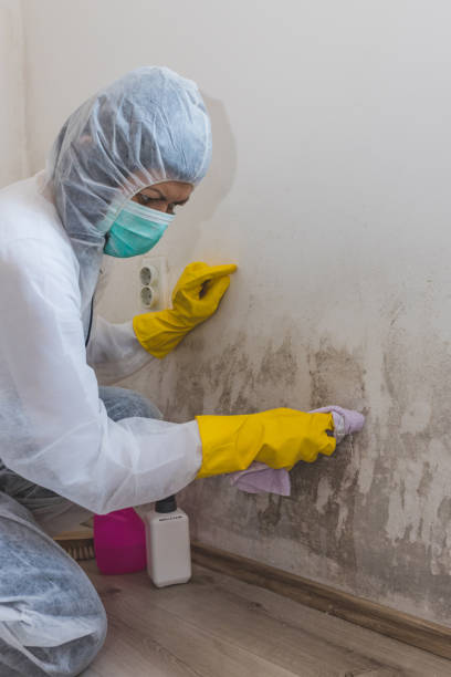Mold Remediation for Rental Properties in Forney, TX