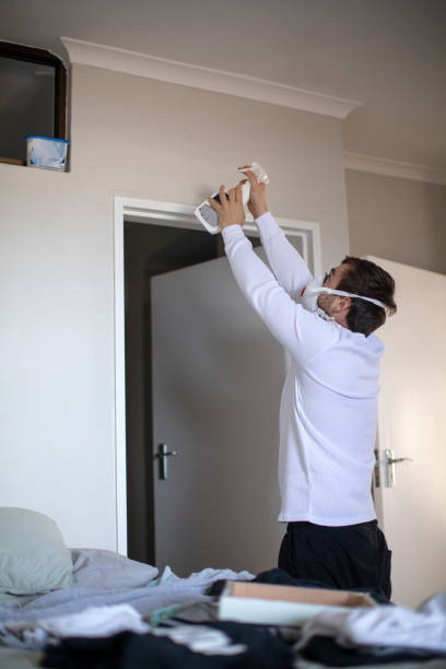 Reliable Forney, TX Mold Removal Solutions